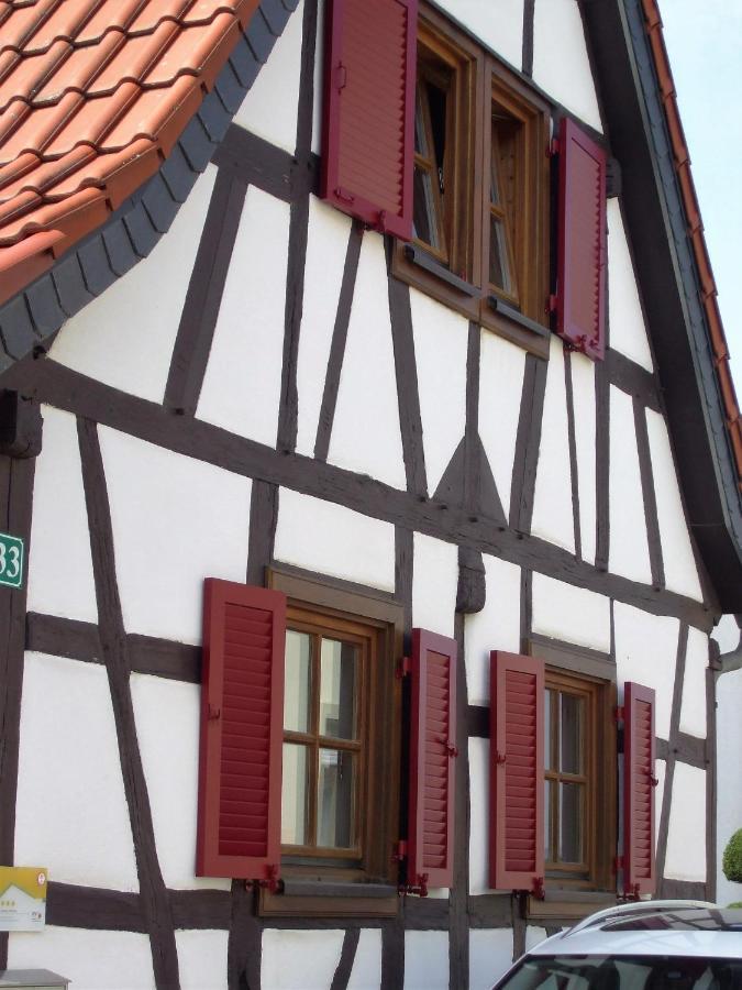 Ferienhaus Pfalzklause Billigheim-Ingenheim Exterior photo