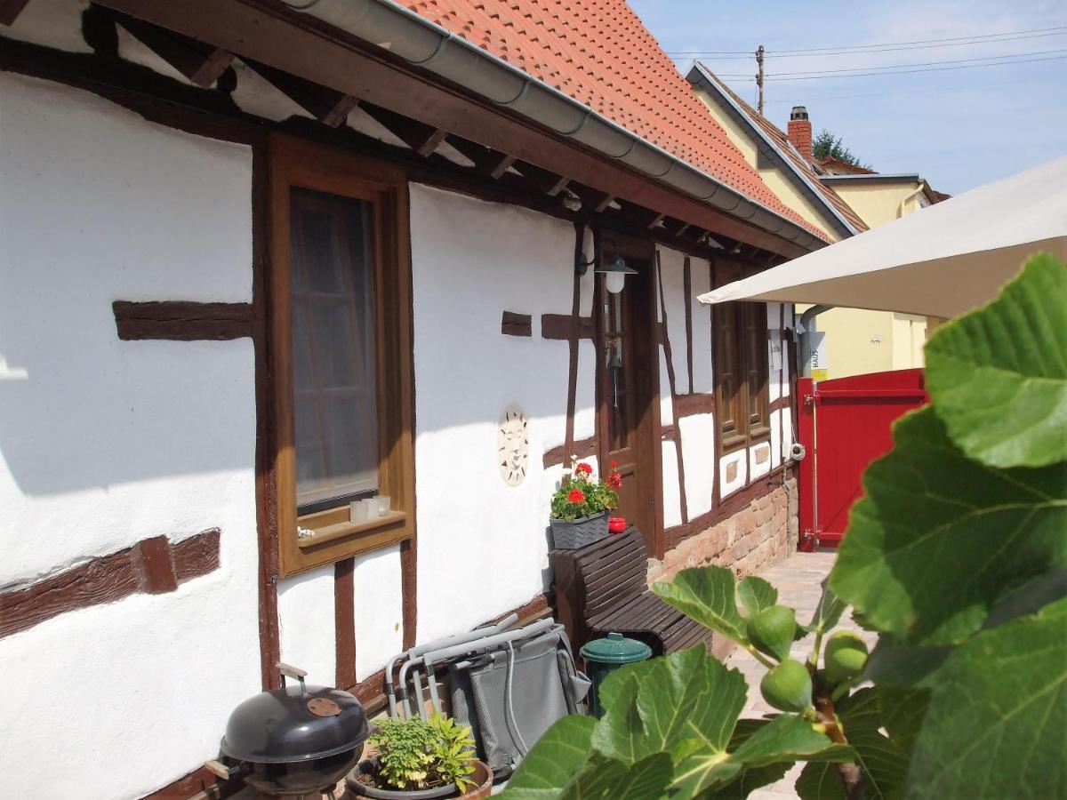 Ferienhaus Pfalzklause Billigheim-Ingenheim Exterior photo